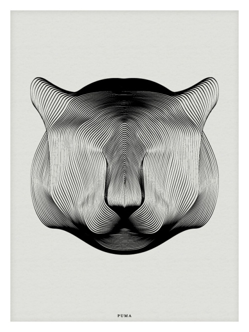 Animals-Drawn-with-Moire-Patterns4